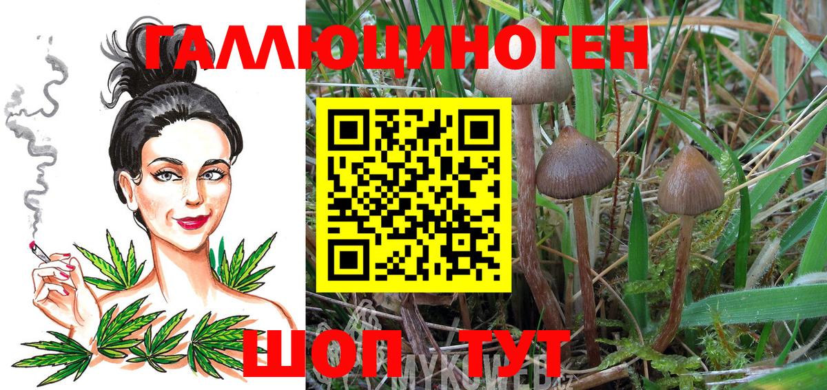 Галлюциногенные грибы мухоморы  Псилоцибиновые грибы Cubensis  Вход с VPN  Лабытнанги 